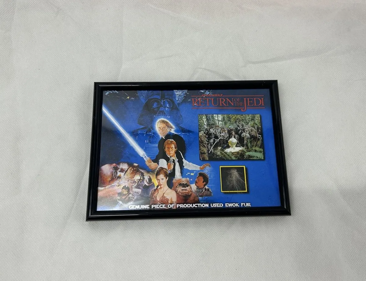 Star Wars Ewok Fur Movie Film Prop Display Rare Return of the Jedi COA 1983