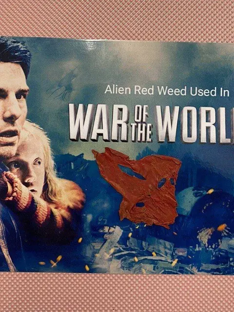 War of the Worlds Piece of Alien Red We ed Film Prop Coa Tom Cruise sci-fi
