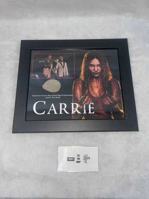 Carrie Screen Used Movie Prop Film TV COA Rare Worn Horror Ansel Elgort Petal