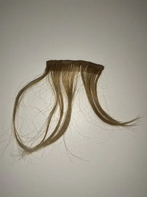 The Grinch Drew Who Hair Weft Screen Used Movie Prop Film TV COA Rare Jim Carrey